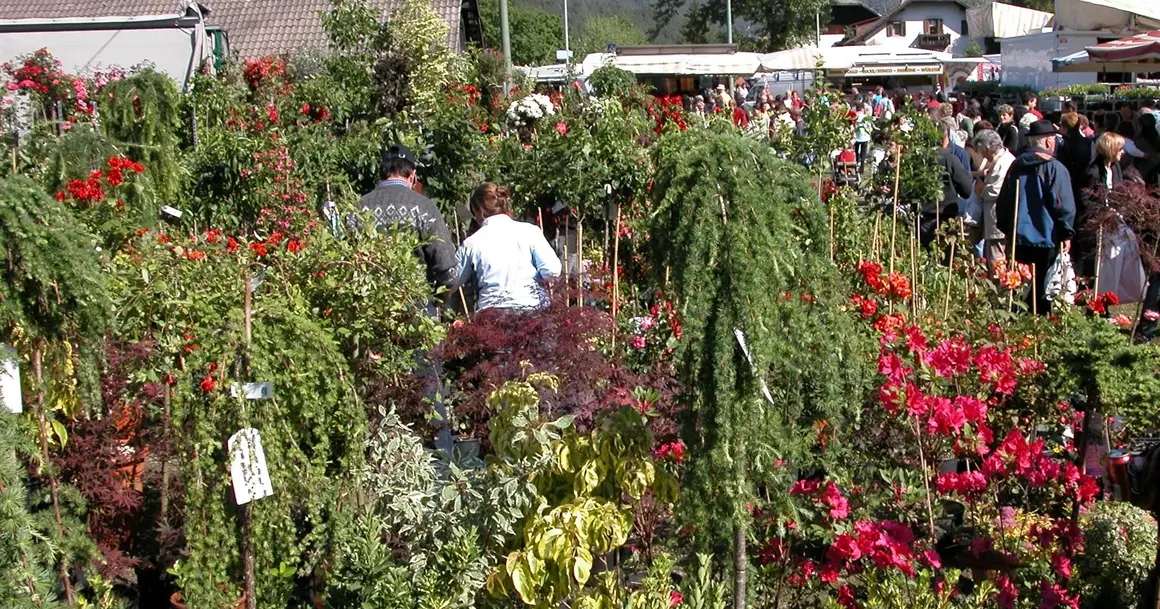 Maienmarkt[2]
