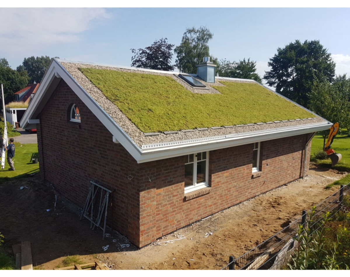 2017-08-15-PHOTO-00000088